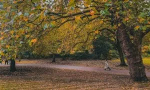 Mùa thu ở xứ cổ tích Edinburgh