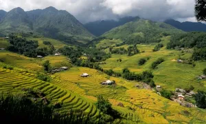 48 giờ ngắm mùa vàng ở Sa Pa