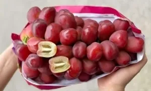 Hơn nửa triệu đồng một chùm nho trái tim Trung Quốc Hơn nửa triệu đồng một chùm nho trái tim Trung Quốc